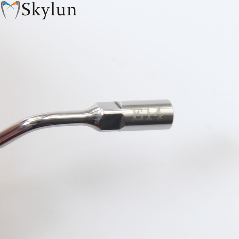 5PCS Dental Ultrasonic Scaler  - Teeth Whitening Usa ulasan dan harga