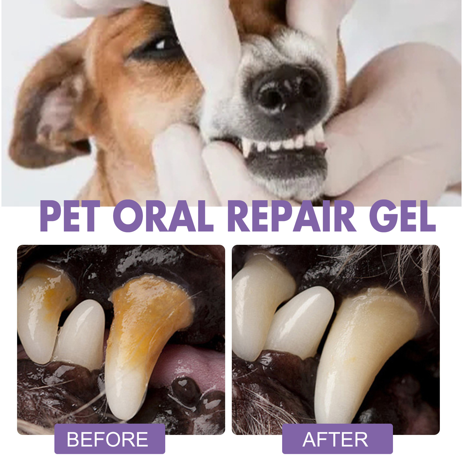 Pet Oral Repair Gel Puppy Tart - Teeth Whitening Doctor ulasan dan harga